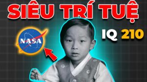 sieu tri tue